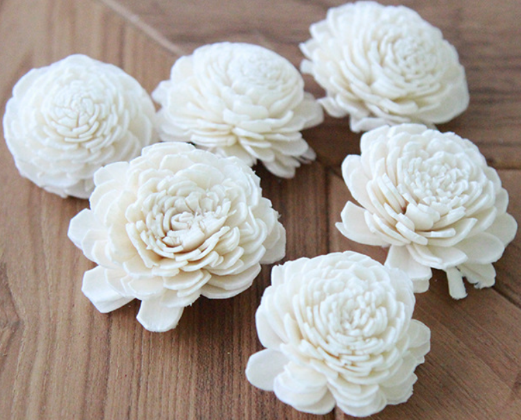 White Sola Wood Flowers